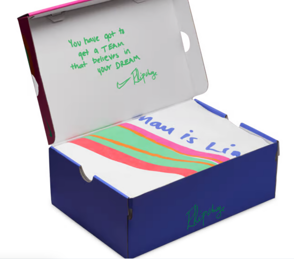 Women's Nike Zoom Fly 6 Eliud Kipchoge (Clearance)