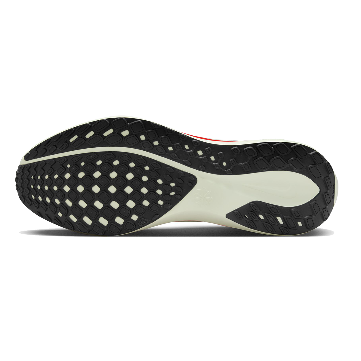 Nike Air Zoom Pegasus 41