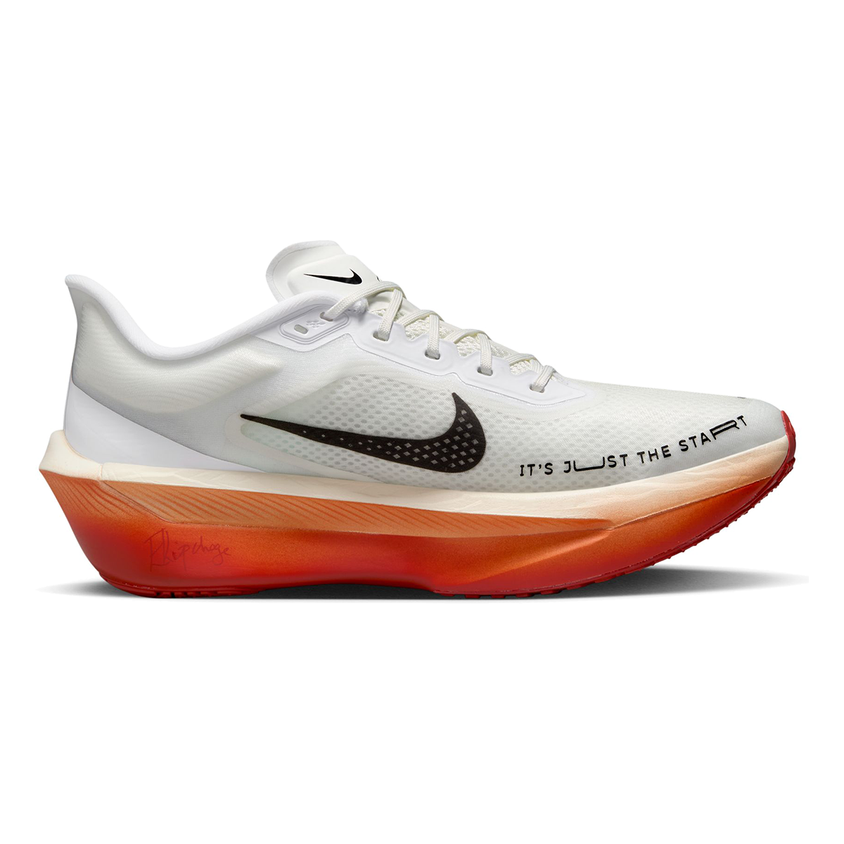 Nike Zoom Fly 6 EK