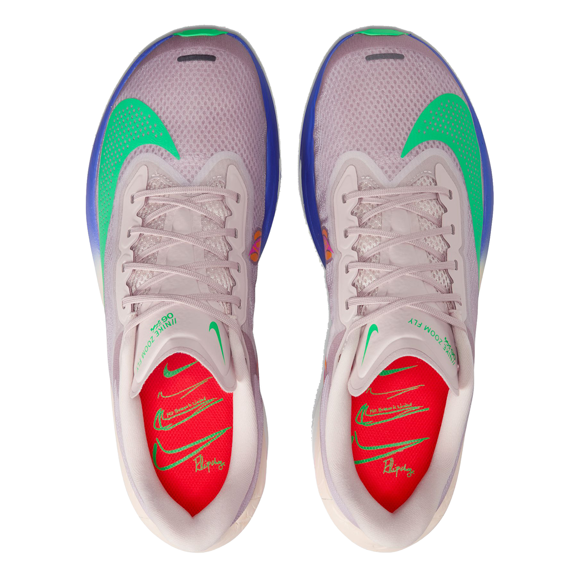 Nike Zoom Fly 6 EK