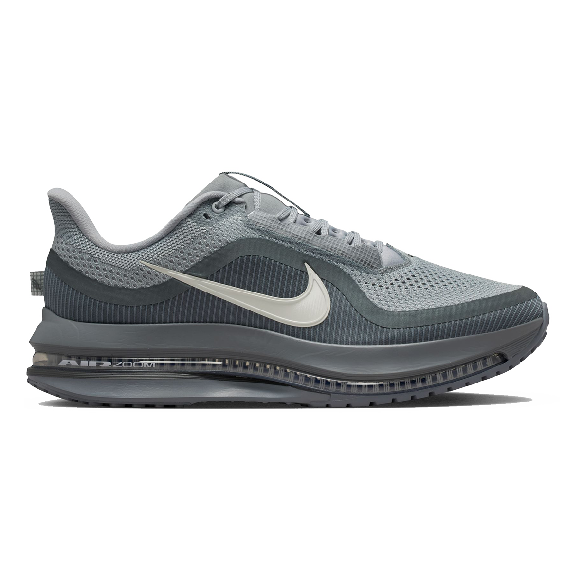 Nike Pegasus Premium
