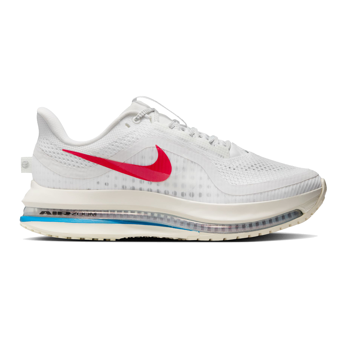 Nike Pegasus Premium