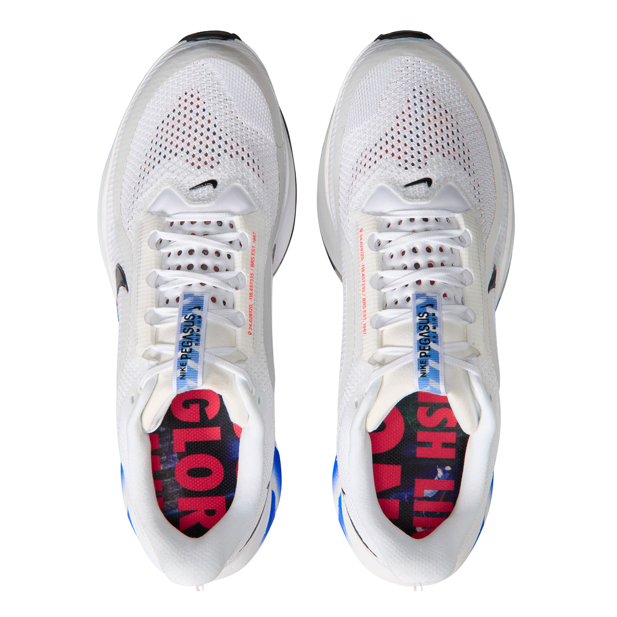 Nike Pegasus Premium CM