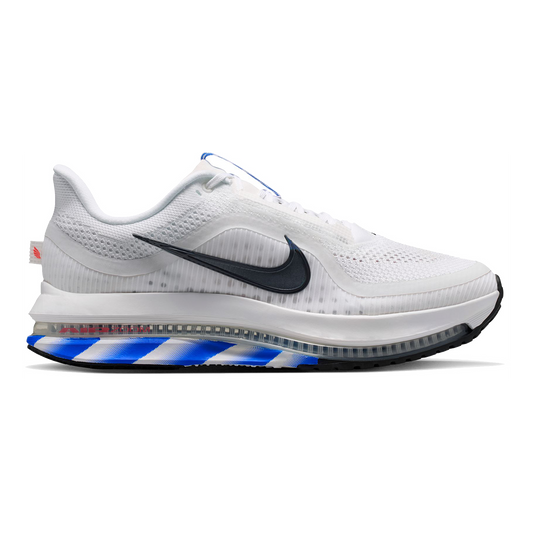 Nike Pegasus Premium CM