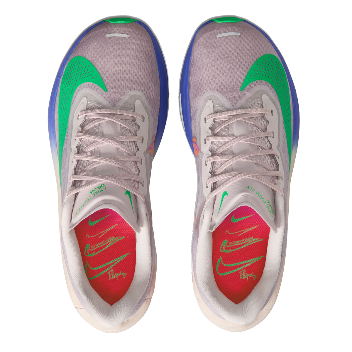 Nike Zoom Fly 6 EK