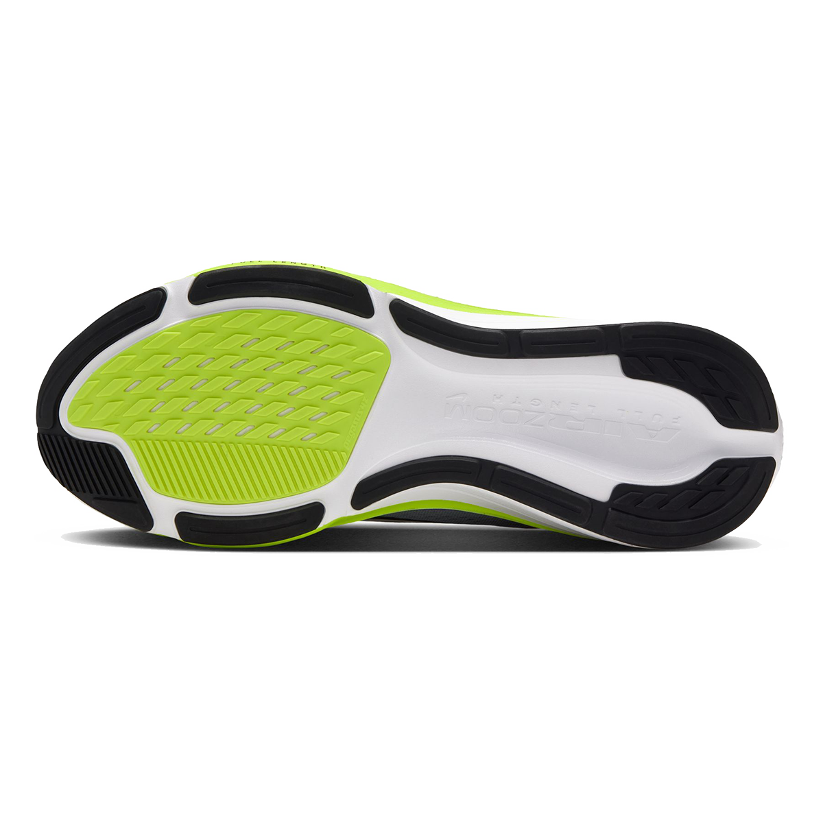 Nike Pegasus 42