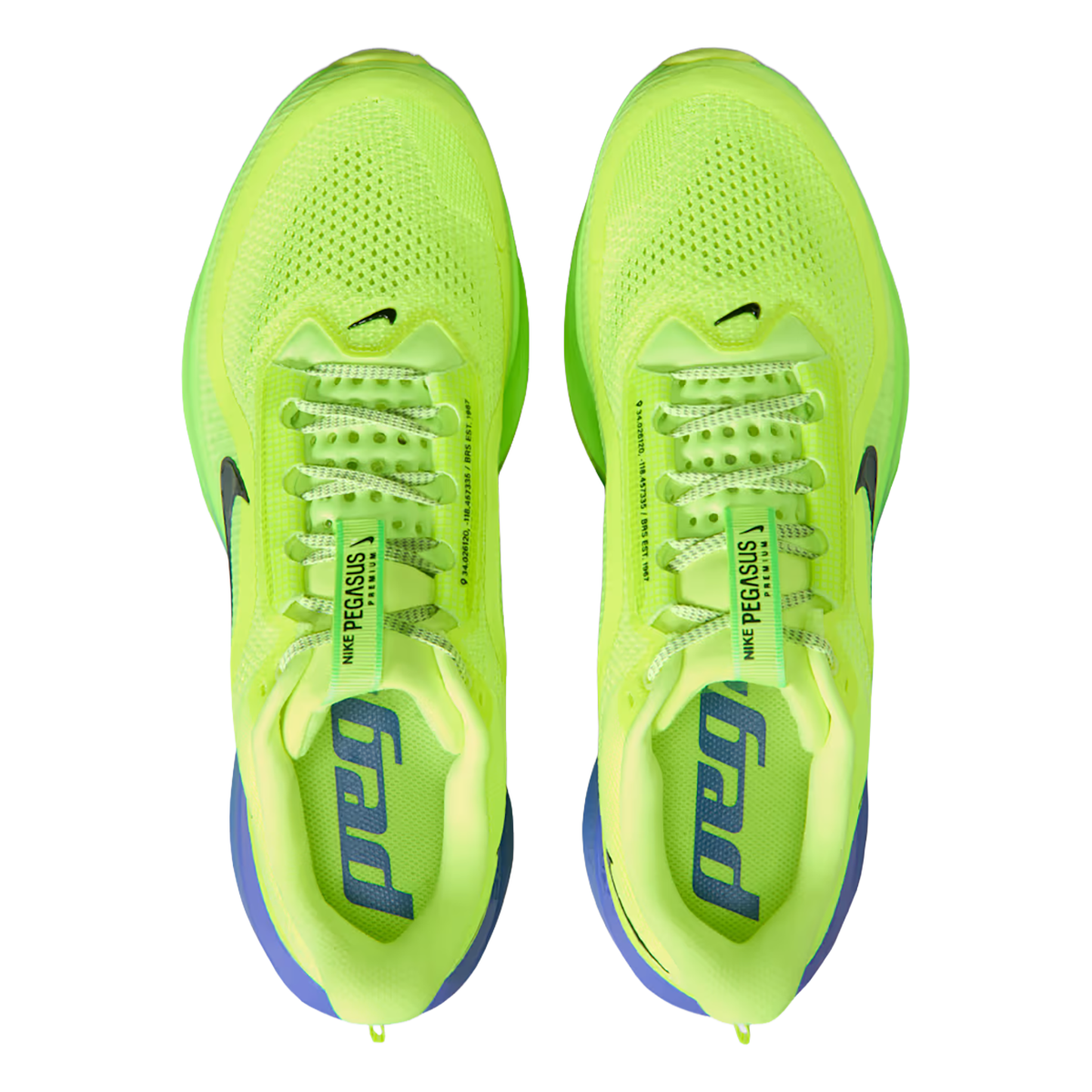 Nike Pegasus Premium