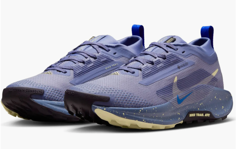 Women's Nike Pegasus Trail 5 GTX (CLEARANCE)